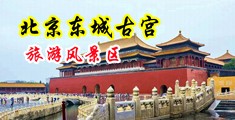 操美女骚屄网:中国北京-东城古宫旅游风景区